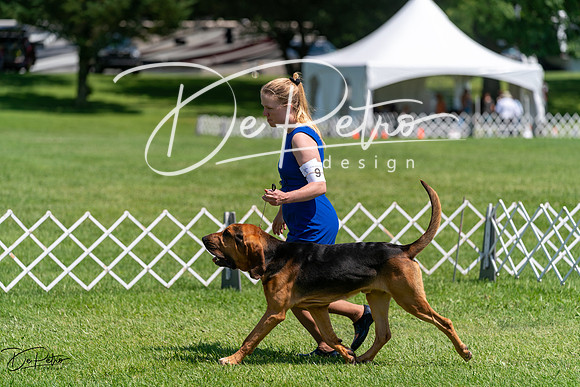 20240630-DSC01988