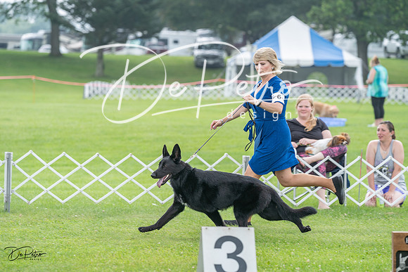 20230701-DSC09368