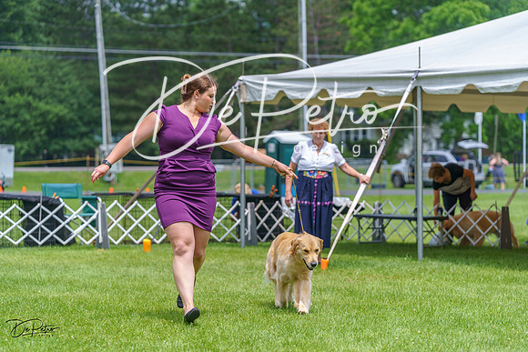 20230701-DSC01187