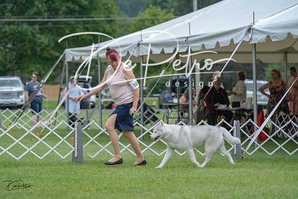 20230702-DSC01682