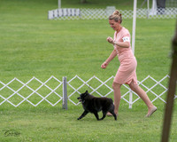 20230702-DSC04701
