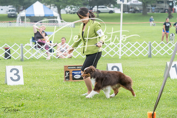 20230701-DSC09658