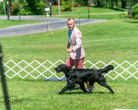 20250629-DSC00007