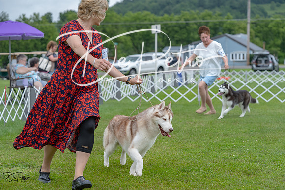 20230702-DSC01769