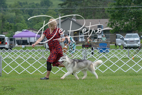 20230702-DSC01396
