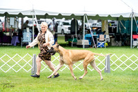 20230702-DSC01871