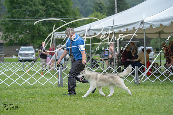 20230702-DSC01583