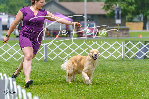 20230701-DSC01214