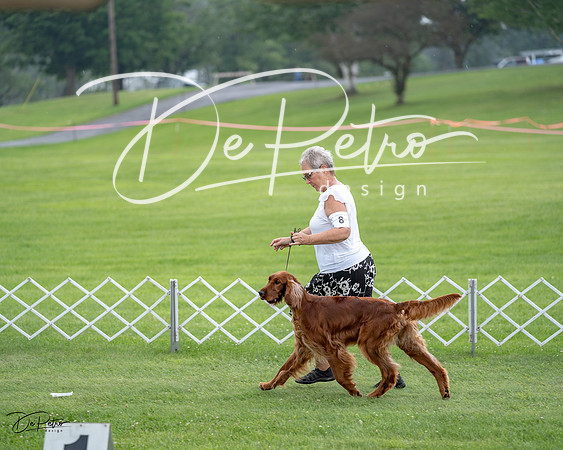 20230701-DSC08430