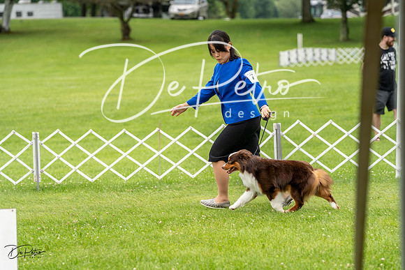 20230702-DSC04050