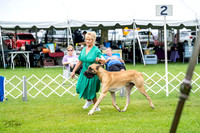 20230702-DSC01833