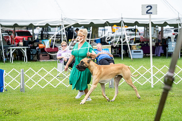 20230702-DSC01833