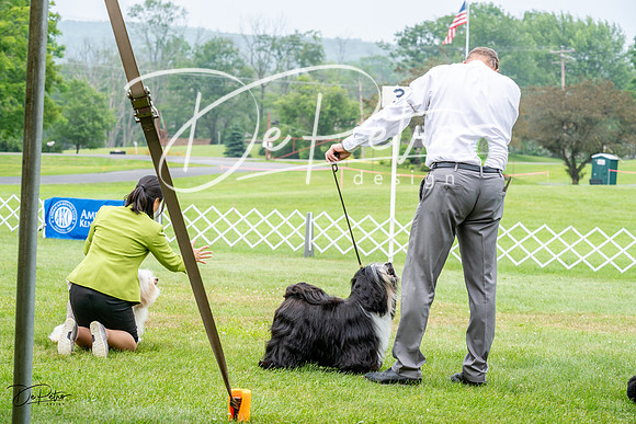 20230701-DSC00052