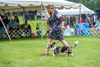 20230701-DSC01487