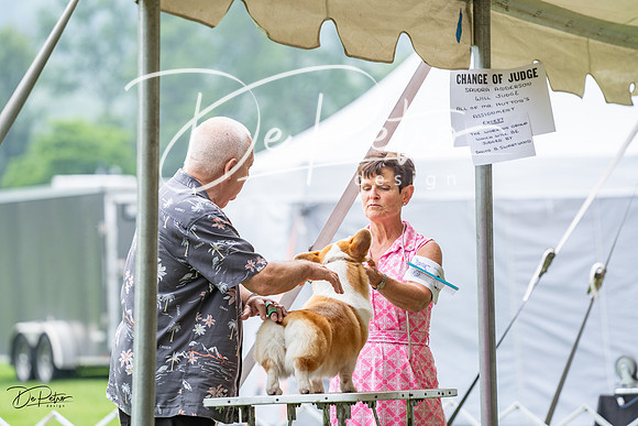 20230701-DSC09719