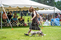 20230701-DSC01461