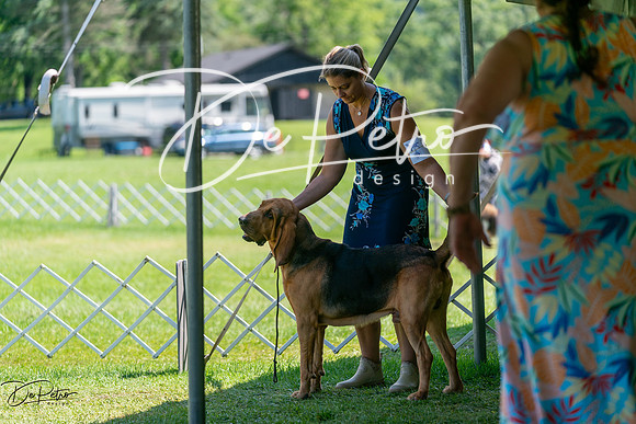 20240630-DSC01915