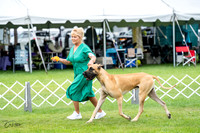 20230702-DSC01848