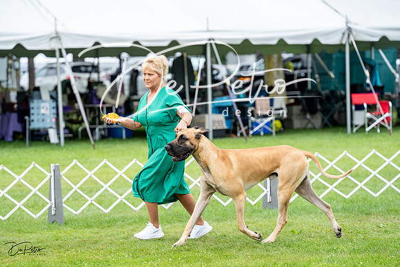 20230702-DSC01848