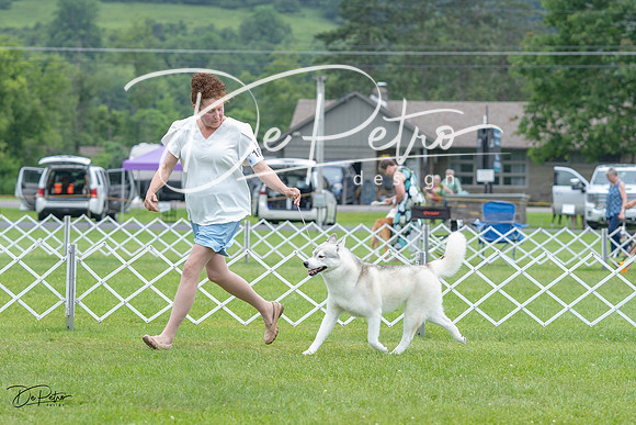 20230702-DSC01371