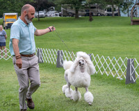 20230702-DSC04724