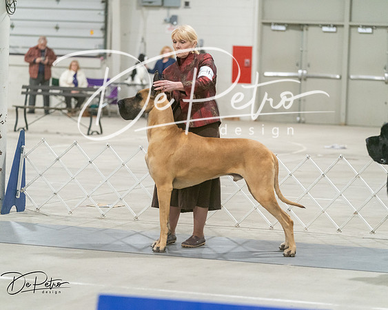 20250302-DSC07804