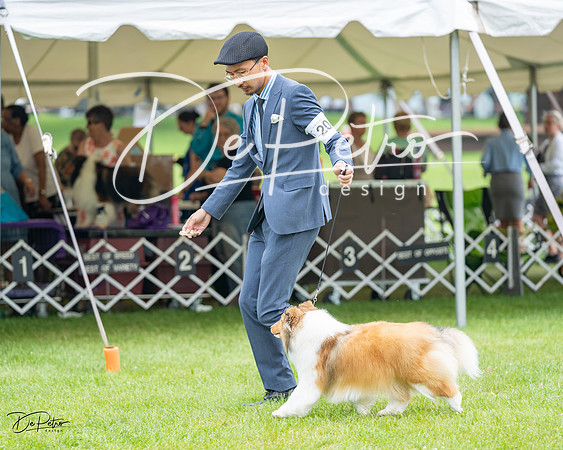 20230701-DSC07554