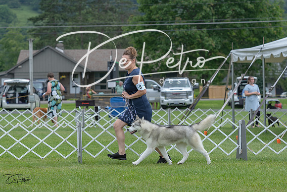 20230702-DSC01402