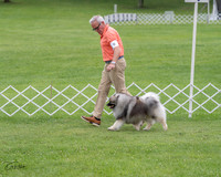 20230702-DSC04689