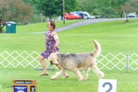 20230702-DSC04308
