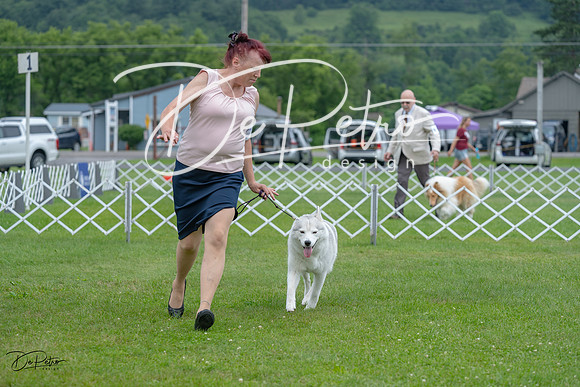 20230702-DSC01704