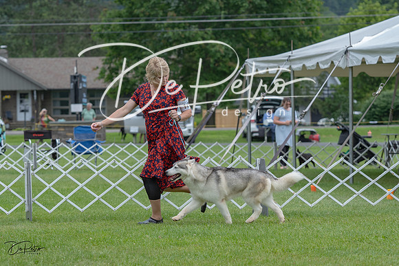 20230702-DSC01390