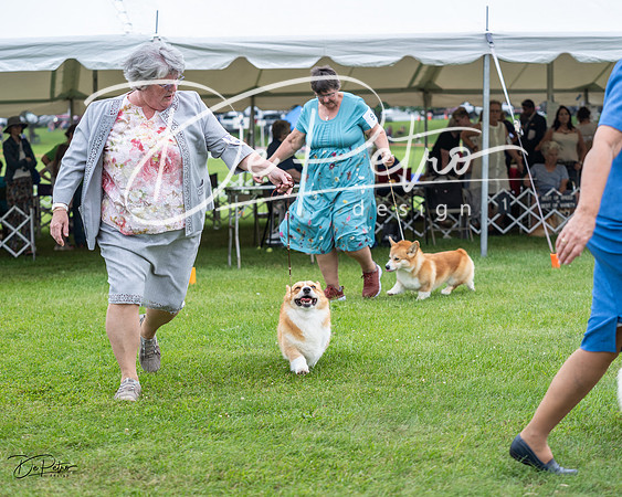 20230701-DSC01161