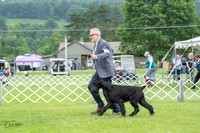 20230702-DSC01182