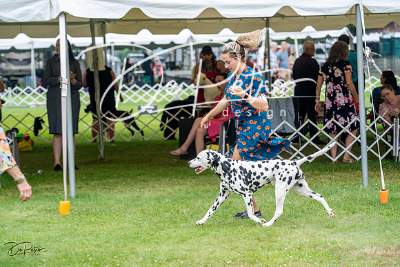 20230701-DSC09822