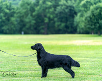 20250627-DSC06833