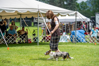 20230701-DSC01459
