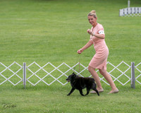 20230702-DSC04707