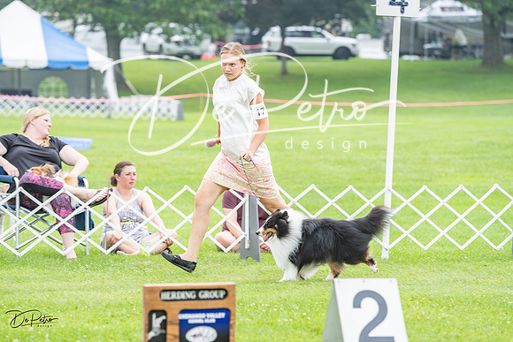 20230701-DSC09691