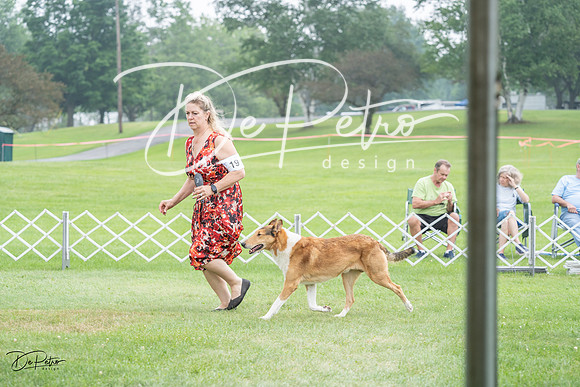 20230701-DSC09567