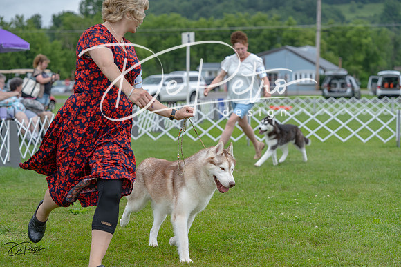 20230702-DSC01770
