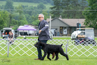 20230702-DSC01228
