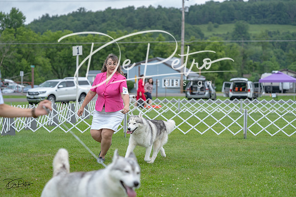 20230702-DSC01791