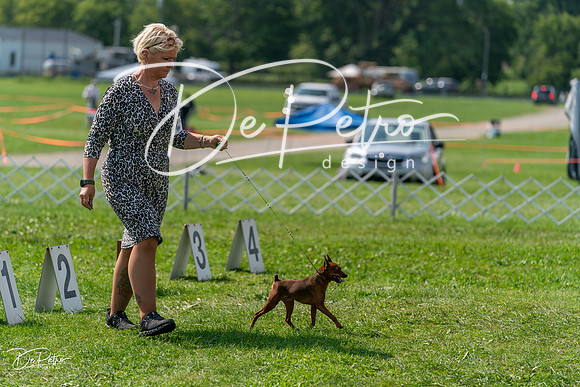20240816-DSC00344