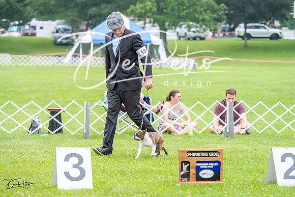 20230701-DSC00022