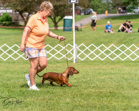 20250628-DSC08397
