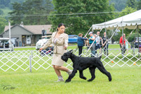 20230702-DSC01193