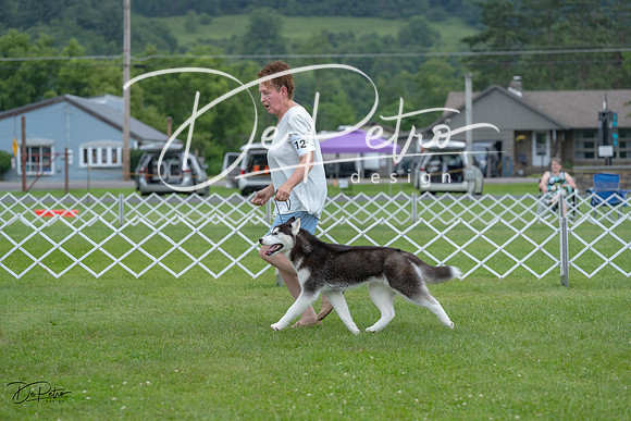 20230702-DSC01733