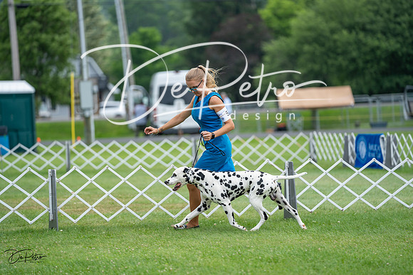 20230701-DSC08314