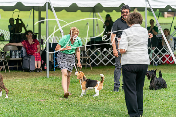 20240630-DSC05734
